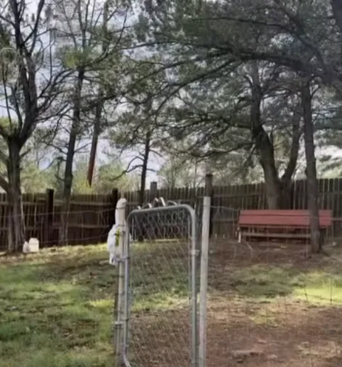 Chain link gate at the dog run with a red bench beyond the fence
