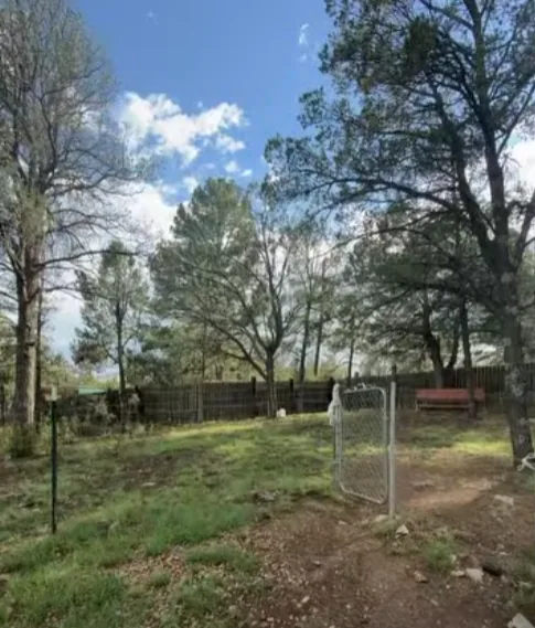 Fenced dog run with an open gate and a bench under the trees