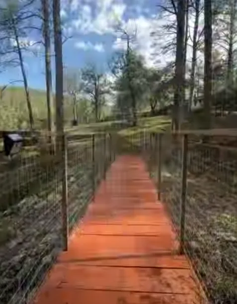 Looking down the orange plank footbridge through the pines