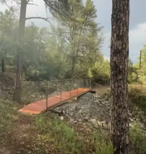 Orange wooden footbridge with a metal rail among the pines