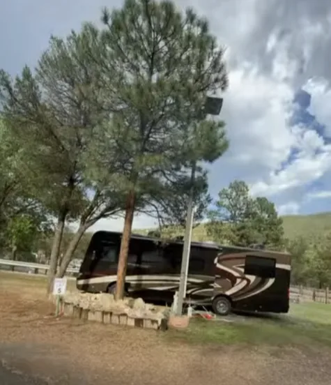 Class A motorhome parked beside a pine at a numbered site