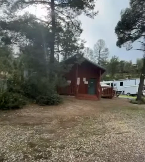 Small wood showers building with a green door under the pines