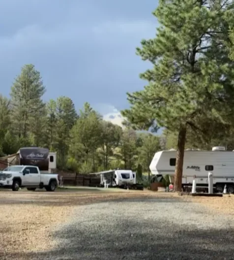 Gravel RV sites with trailers and trucks under ponderosa pines