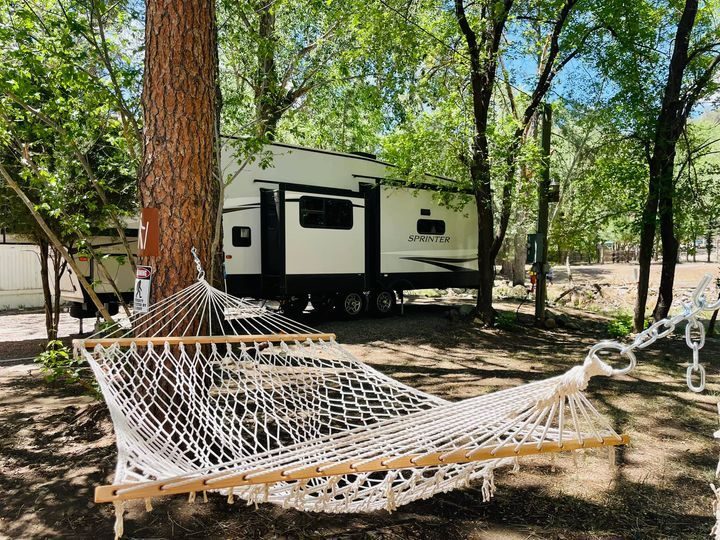Travel trailer beside a hammock in a shaded site