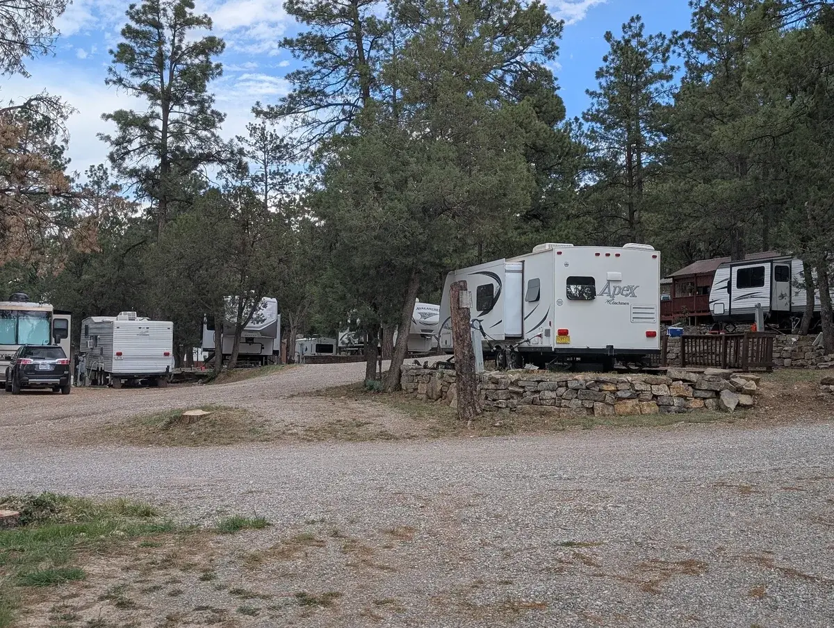 RV sites along the pine shaded park loop