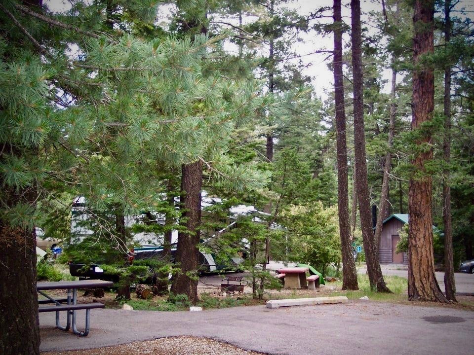 Picnic tables and RV sites beneath tall pines