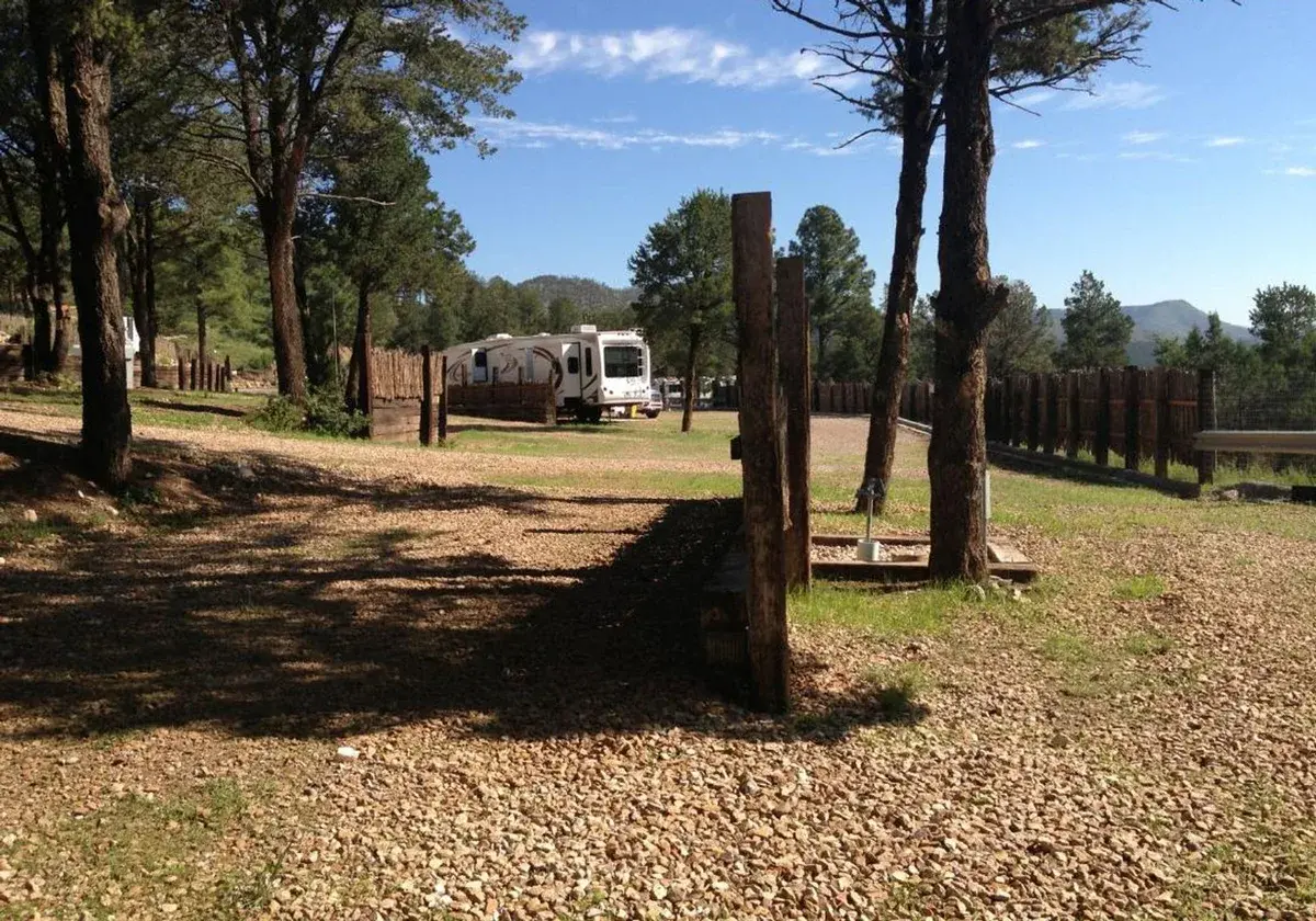 Occupied RV site among tall Ruidoso pines