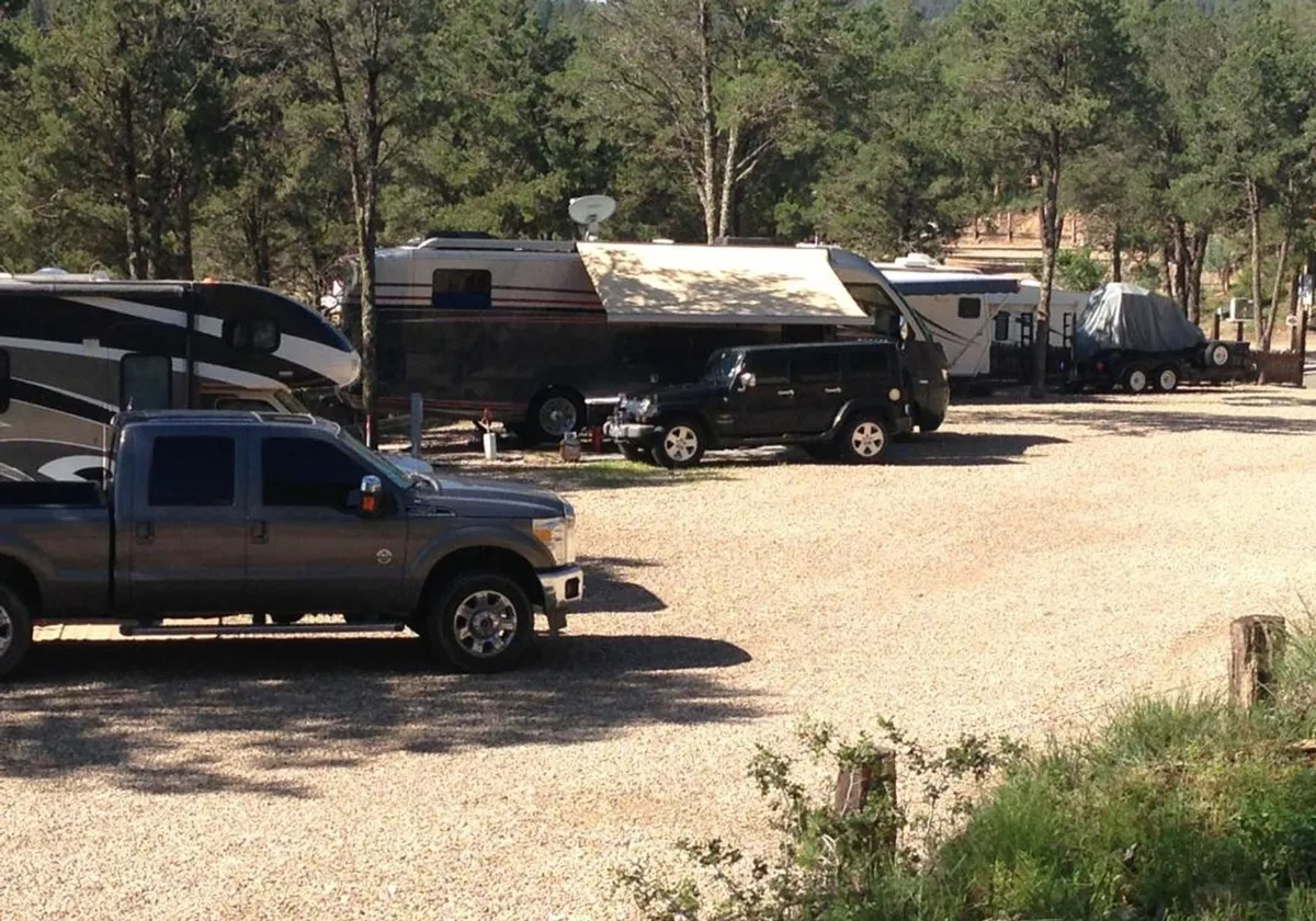 A row of RVs parked along the pine-shaded sites