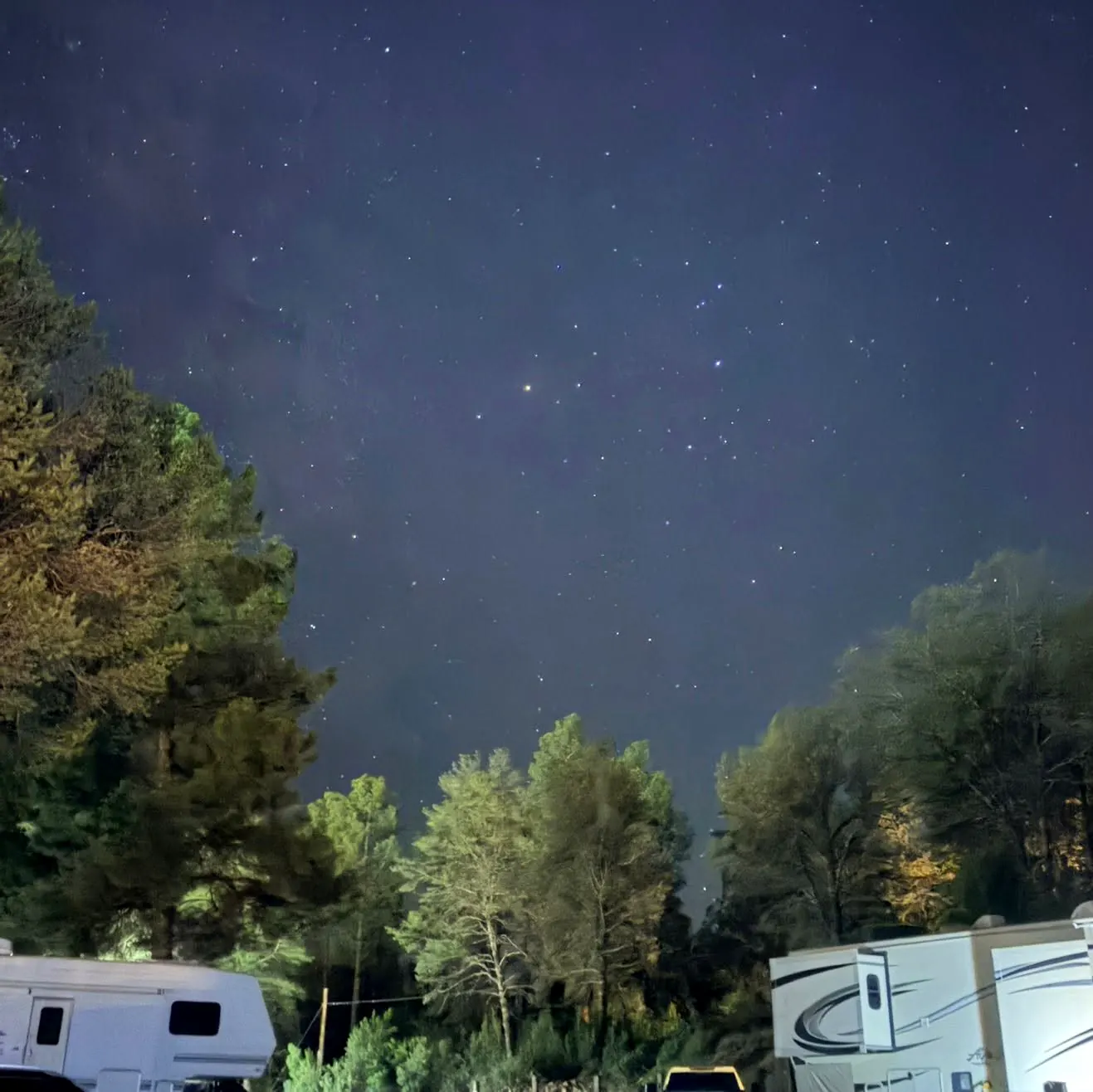Star filled night sky above pines and RV sites at the park