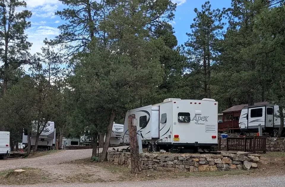 Terraced RV sites among the pines