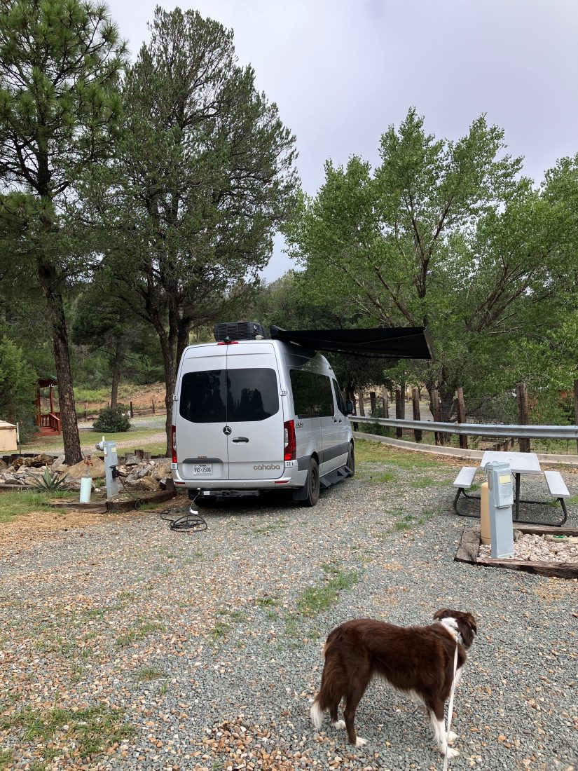 A dog beside a camper van at a wooded site